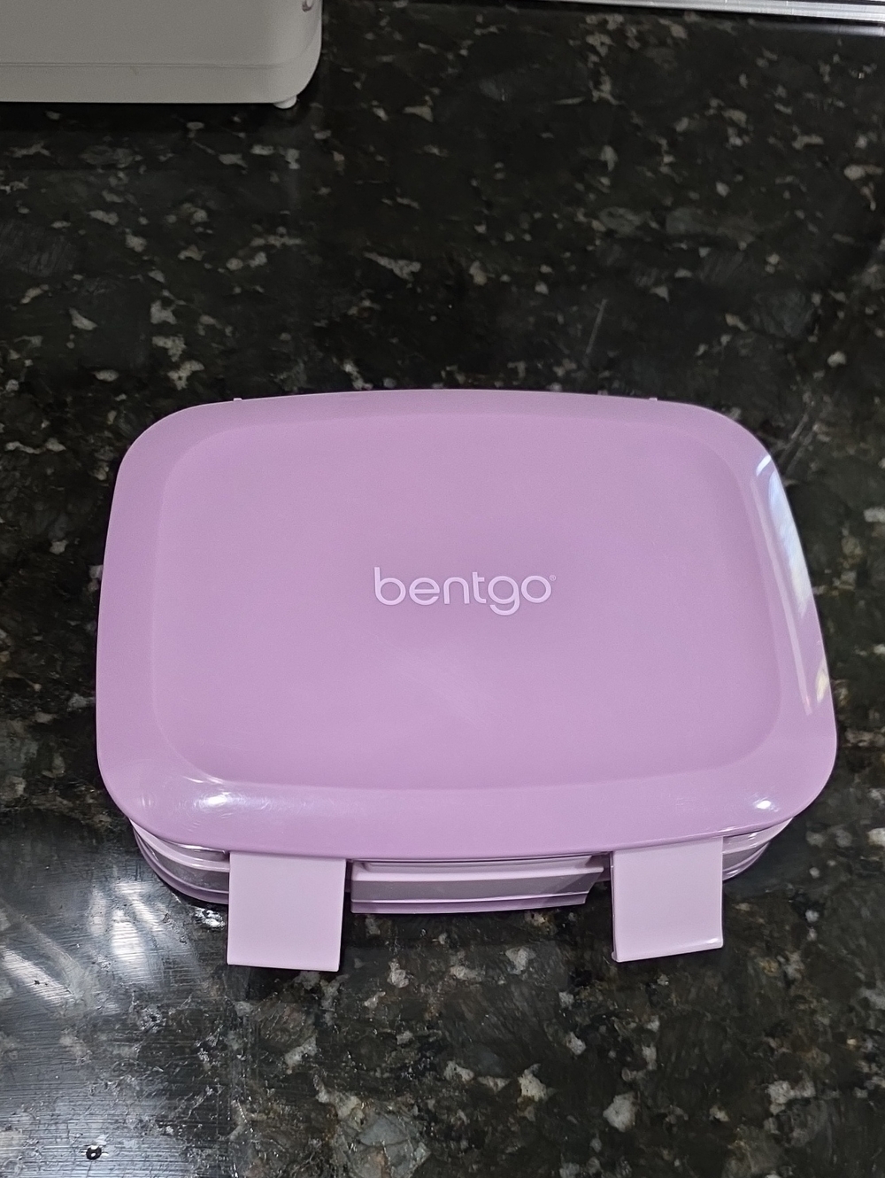 Bentgo Purple Leak-Resistant Food Container Lunch Box